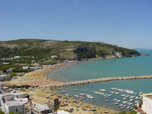 Monolocale Porticciolo