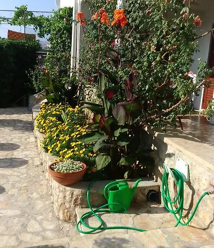 Apartments Vesna