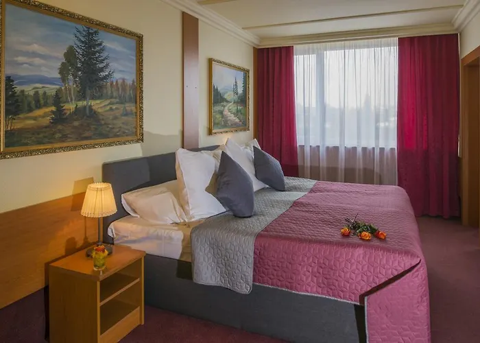 Spa Hotel: Top Hotel Praha