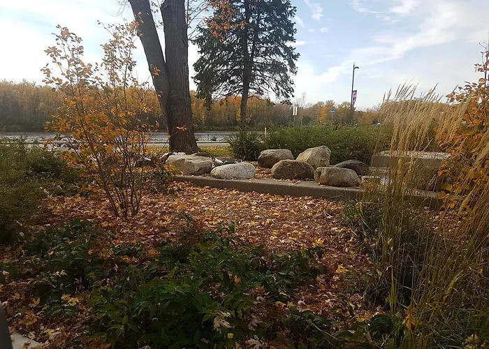 1-Bedroom Cozy Suite #23 By Amazing Property Rentals