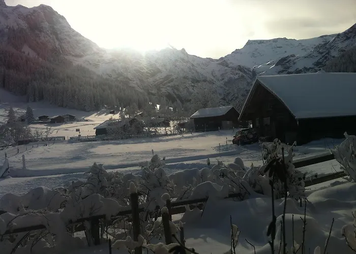 Bergdohle
