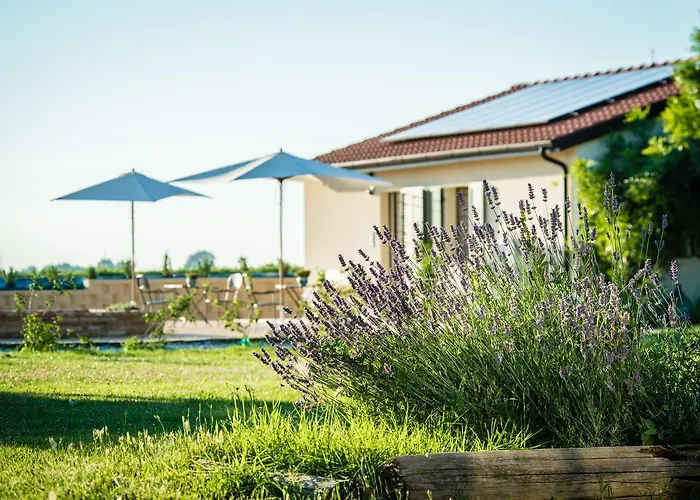 Podere Zampiera Vecchia