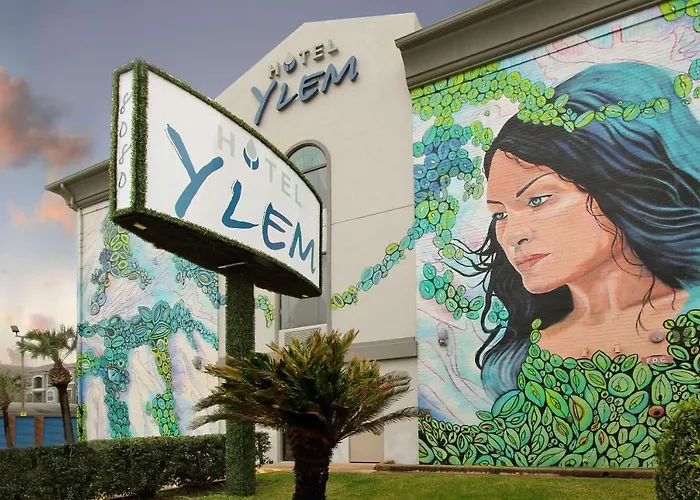 Ylem