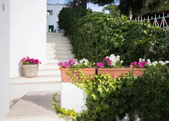 Apartamentos Gama