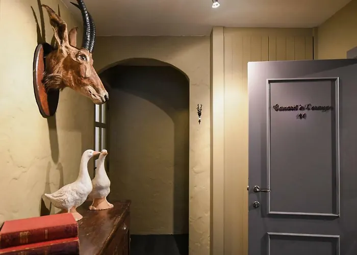 Huisdiervriendelijk hotel: Residentie De Laurier
