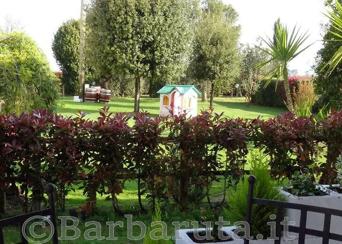 Barbaruta Rta