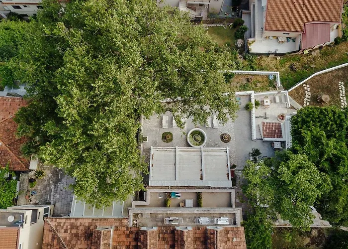 Apartments Belvedere