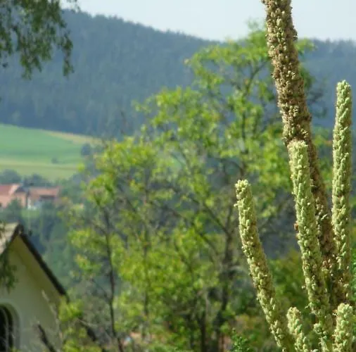 Ferienwohnung Kaufmann