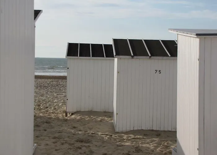Comfort Aan Zee