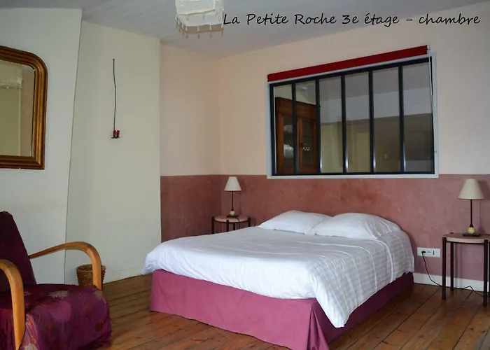 Petite Roche Centre Historique La Rochelle