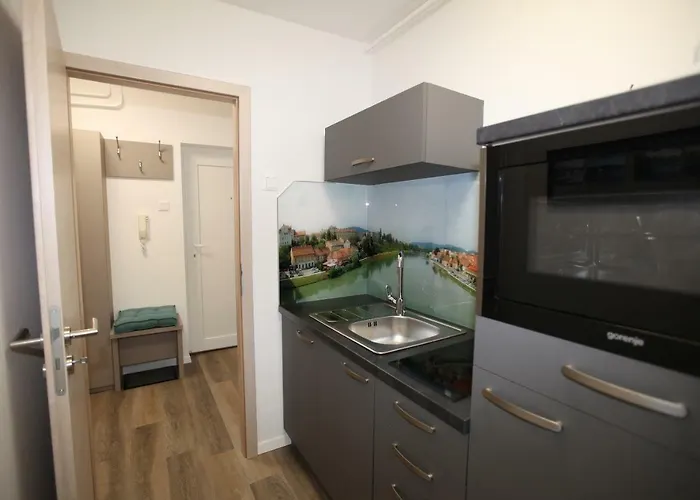 Elegant Central Apt Maribor W/Parking