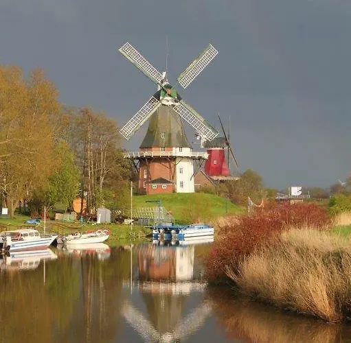 Seestern 4