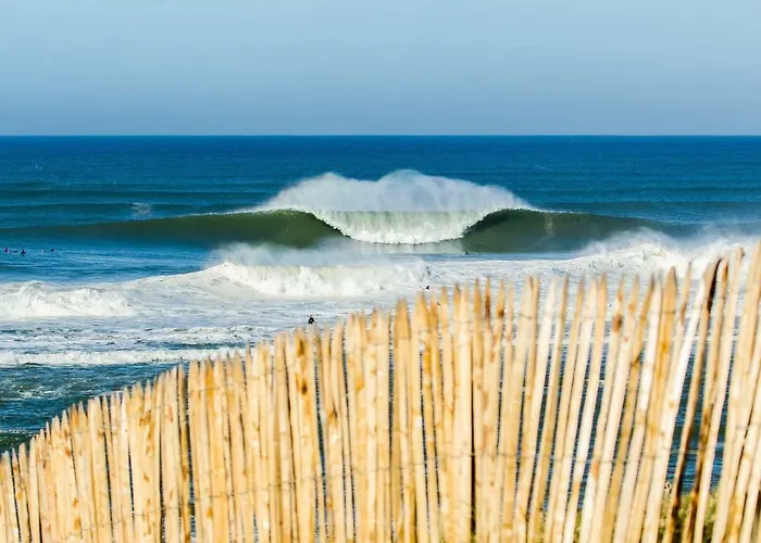 Hossegor La Vigie Entre Lac Et Ocean