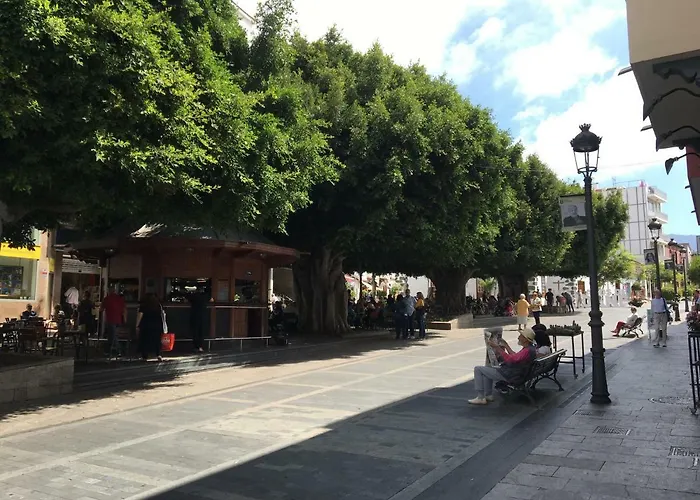 Apartamentos Los Laureles