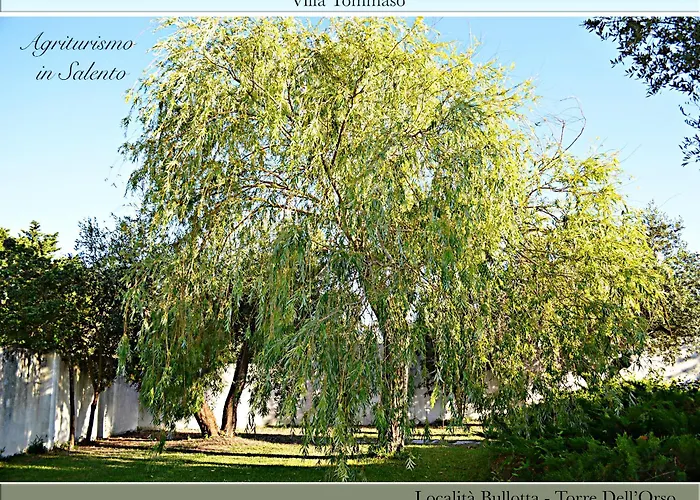 Agriturismo Villa Tommaso