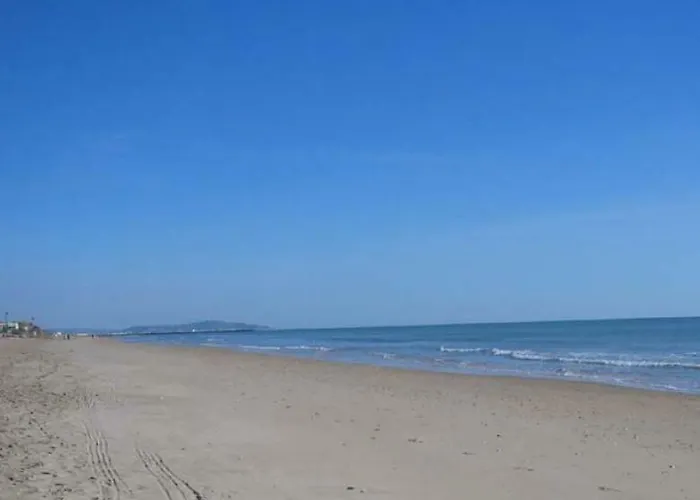 Phare View