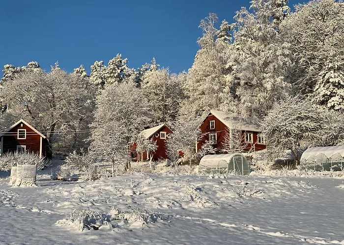 Traditional Swedish Torp Lake Access & Free Boat