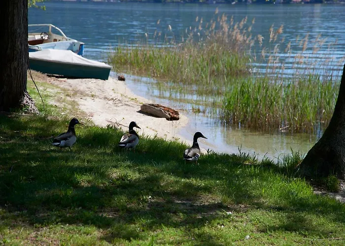 Emy Lake Orta