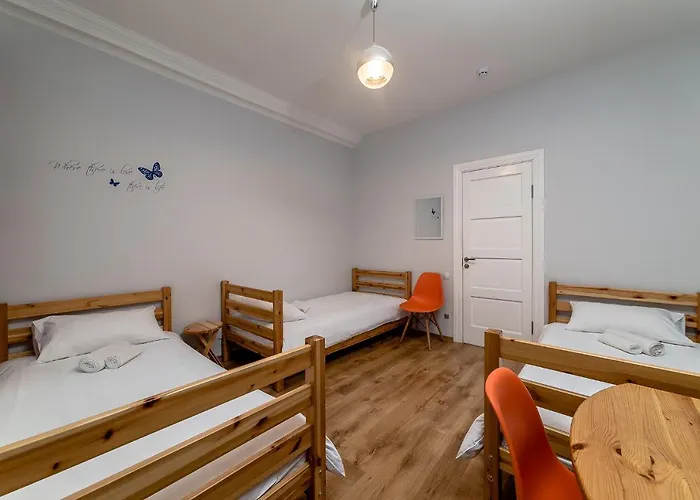 Orange Cat Rooms