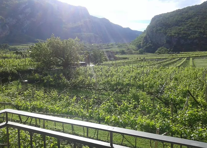 La Masera Holiday - Vigneto