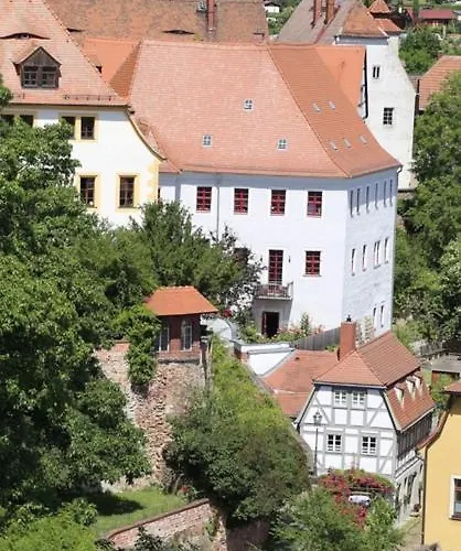 Domblick An Der Freiheit