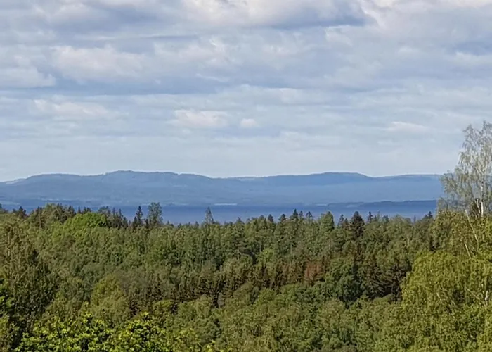 Backhansgarden I Plintsberg