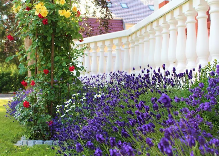 Rosen Villa