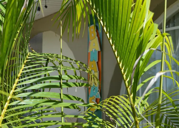 Bananas Apartments Adults Only