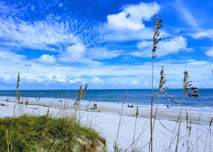 Bogue Shores 264