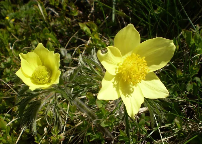 Fassnauerhof Ridnaun