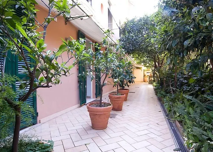 Conchiglia D'Oro