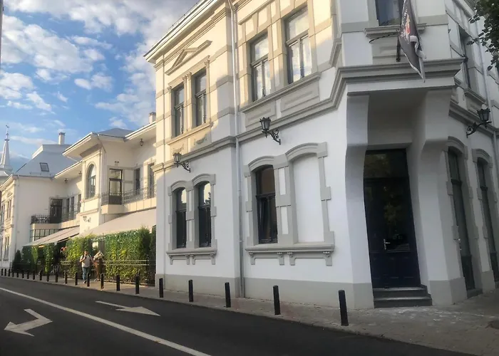 The Bricks 1903 Lofts - Central Bistrita
