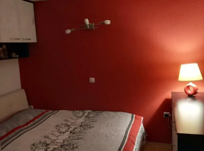Brand New Apt In City Center